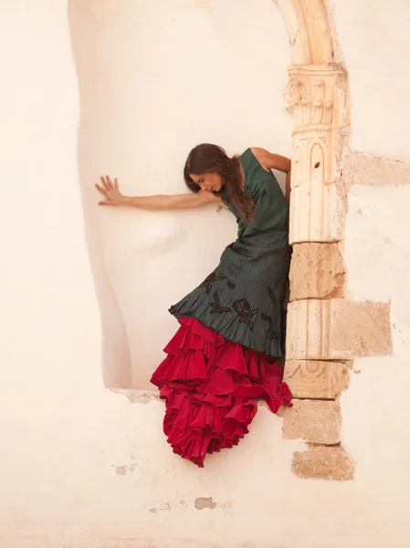 Flamenco and old church — Stock Photo, Image