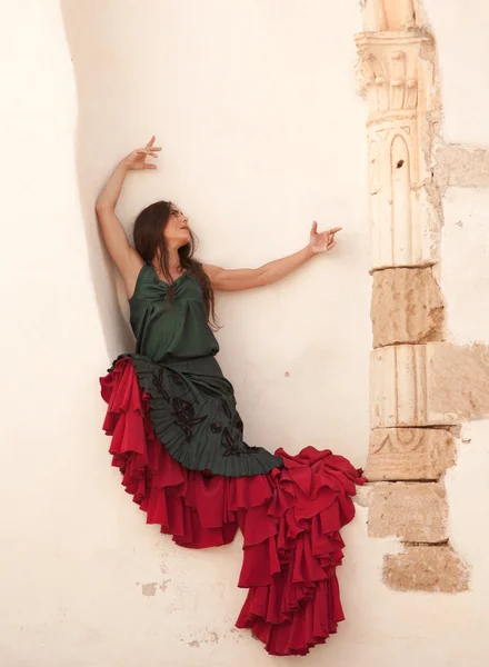 Flamenco and old church — Stock Photo, Image