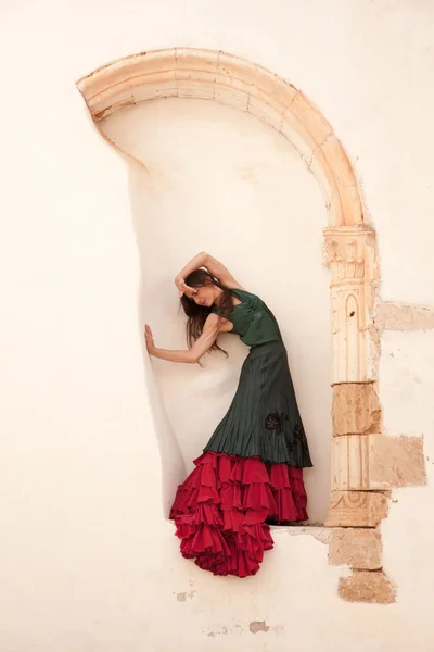 Flamenco et vieille église — Photo