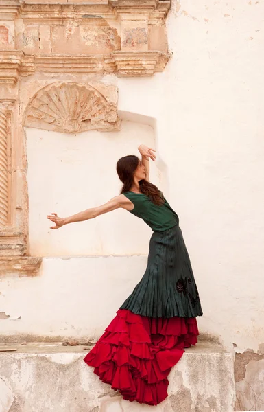 Flamenco e vecchia chiesa — Foto Stock