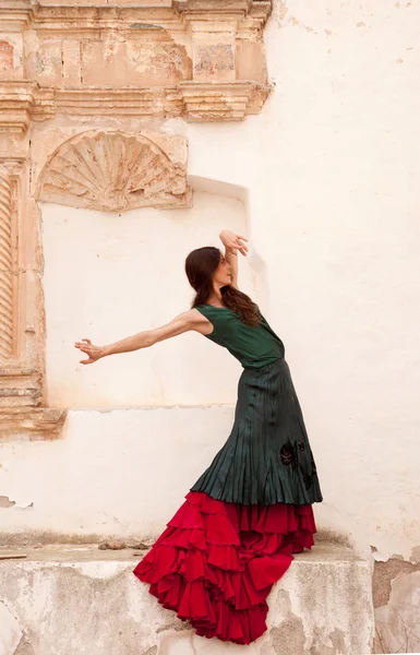 Flamenco and old church — Stock Photo, Image