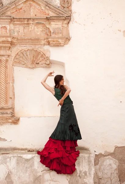 Flamenco and old church — Stock Photo, Image