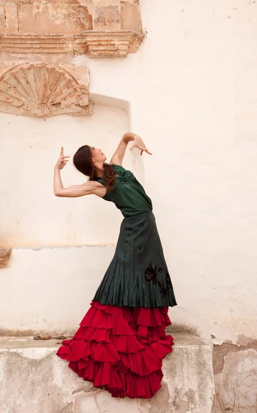 Flamenco och gamla kyrkan — Stockfoto
