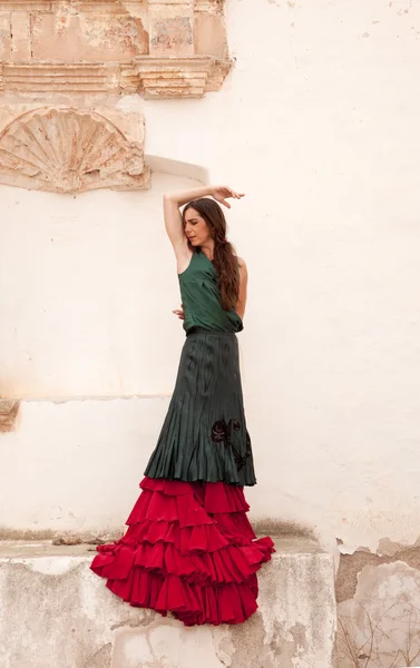 Flamenco and old church — Stock Photo, Image