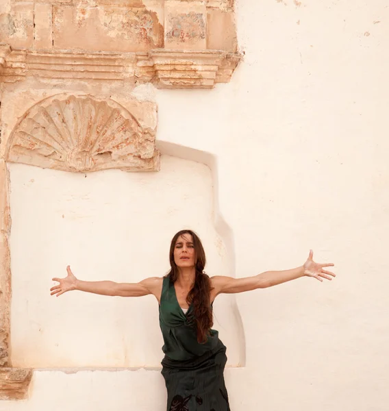 Flamenco and old church — Stock Photo, Image