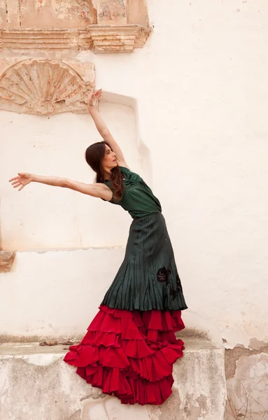 Flamenco and old church — Stock Photo, Image