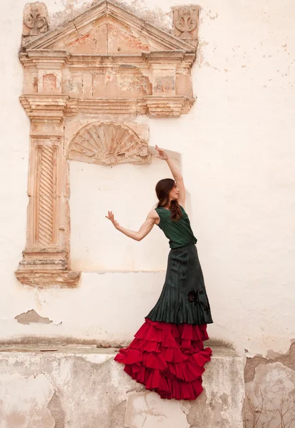 Flamenco and old church — Stock Photo, Image