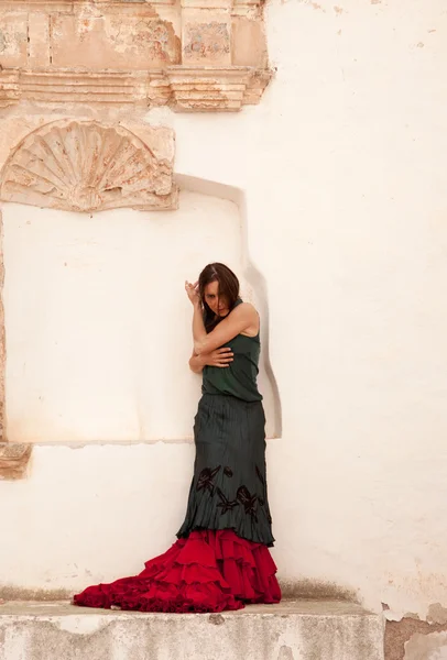 Flamenco and old church — Stock Photo, Image