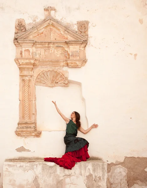 Flamenco et vieille église — Photo