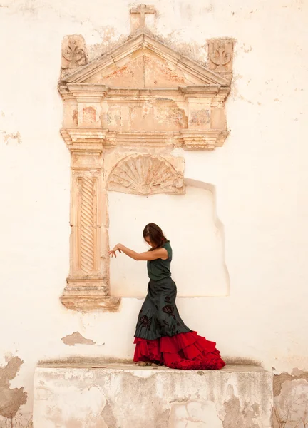 Flamenco et vieille église — Photo