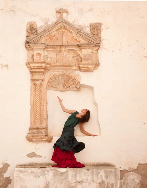 Flamenco and old church — Stock Photo, Image