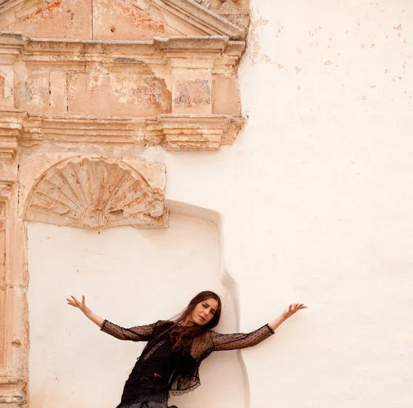 Flamenco e igreja velha — Fotografia de Stock