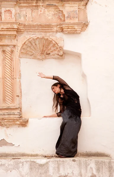 Flamenco and old church — Stock Photo, Image