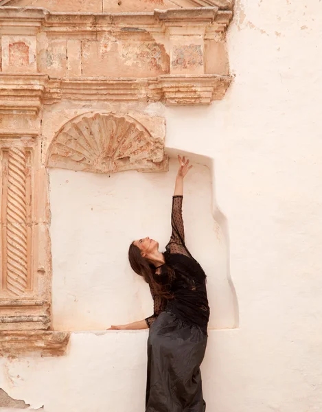 Flamenco and old church — Stock Photo, Image