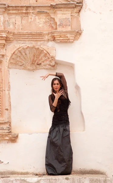Flamenco y iglesia antigua —  Fotos de Stock