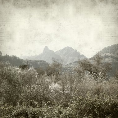 desenli eski kağıt arkaplan  