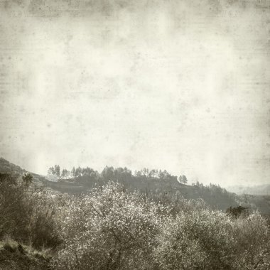 desenli eski kağıt arkaplan  