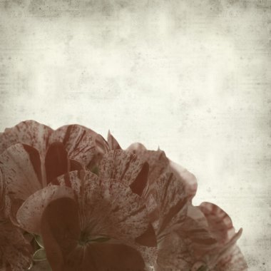 desenli eski kağıt arkaplan  