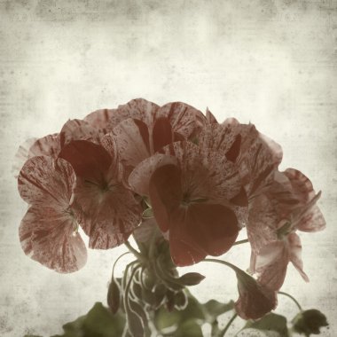 desenli eski kağıt arkaplan  