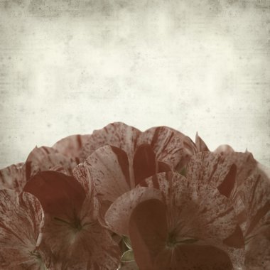 desenli eski kağıt arkaplan  