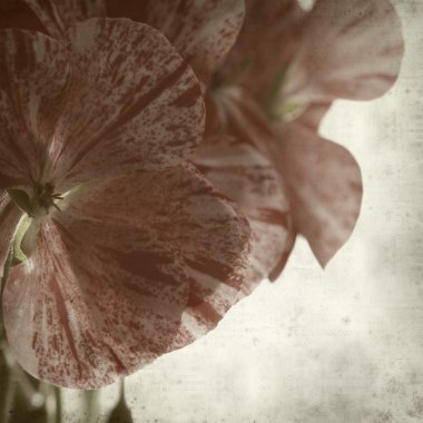 desenli eski kağıt arkaplan  