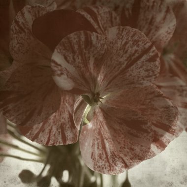 desenli eski kağıt arkaplan  