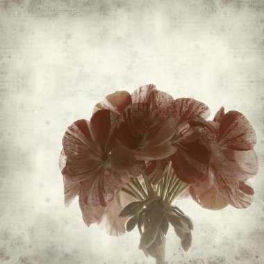 desenli eski kağıt arkaplan  