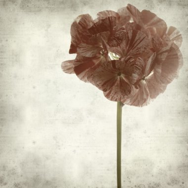 desenli eski kağıt arkaplan  