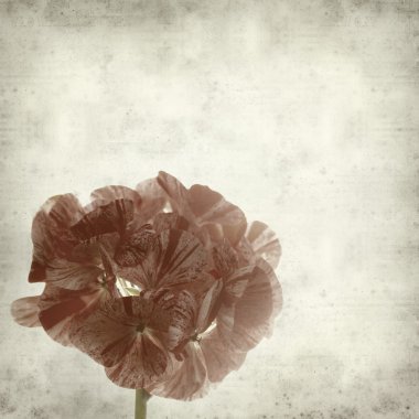 desenli eski kağıt arkaplan  