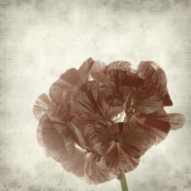 desenli eski kağıt arkaplan  