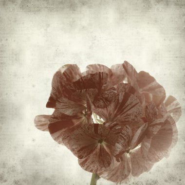 desenli eski kağıt arkaplan  