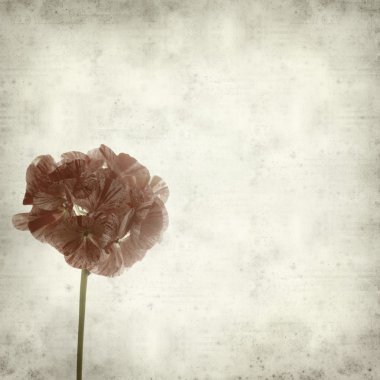 desenli eski kağıt arkaplan  