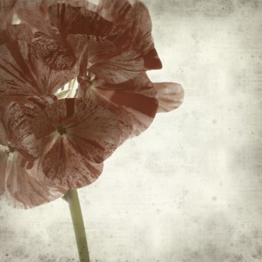 desenli eski kağıt arkaplan  