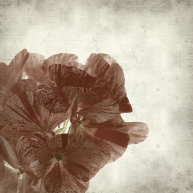 desenli eski kağıt arkaplan  