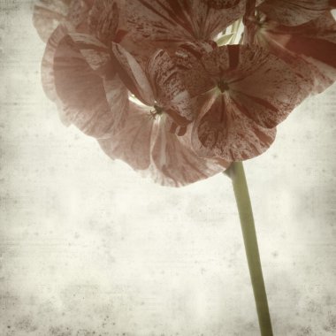 desenli eski kağıt arkaplan  