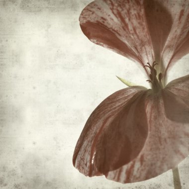 desenli eski kağıt arkaplan  