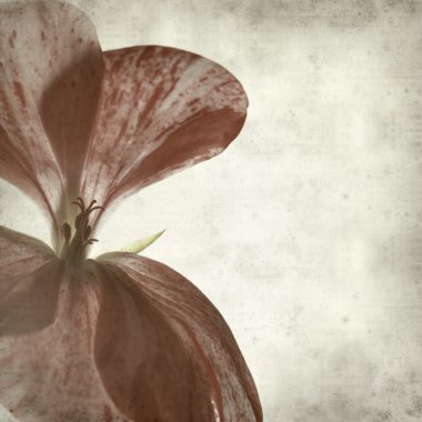 desenli eski kağıt arkaplan  