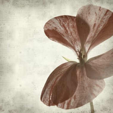 desenli eski kağıt arkaplan  