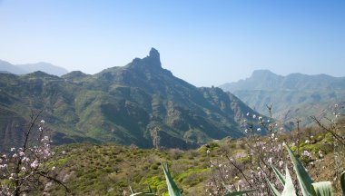 Gran Canaria, Caldera de Tejeda Ocak ayında