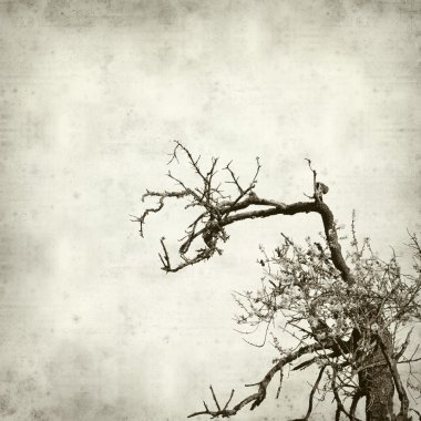 desenli eski kağıt arkaplan