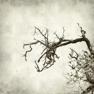 desenli eski kağıt arkaplan