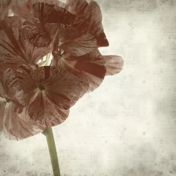 desenli eski kağıt arkaplan  