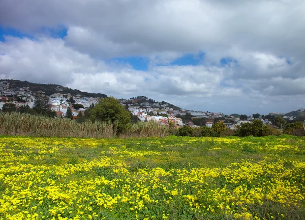 Inland Gran Canaria, view towards Historical town Teror — Stock Photo, Image