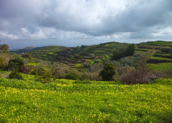 Inland Gran Canaria, winter — Stock Photo, Image