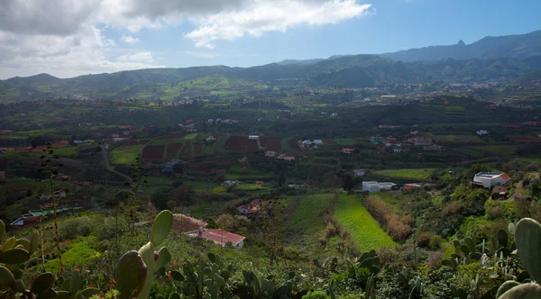 Śródlądowych Gran Canaria, widok w kierunku środkowej góry — Zdjęcie stockowe