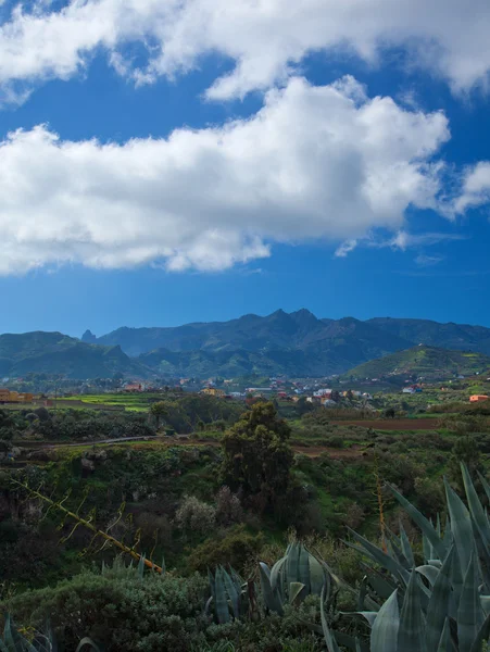 Interior de Gran Canaria, vista hacia las montañas centrales — Foto de Stock