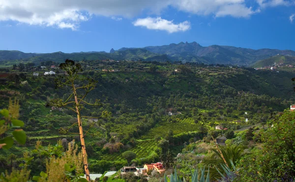 Śródlądowych Gran Canaria, widok w kierunku środkowej góry — Zdjęcie stockowe