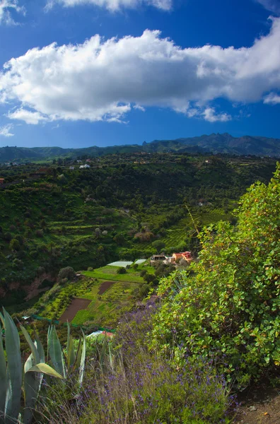 Śródlądowych Gran Canaria, widok w kierunku środkowej góry — Zdjęcie stockowe