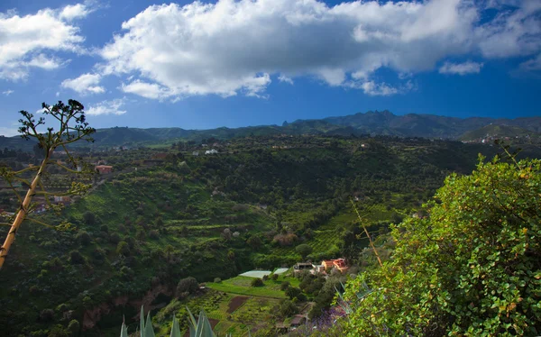 Gran Canaria im Landesinneren, Blick auf die Zentralberge — Stockfoto