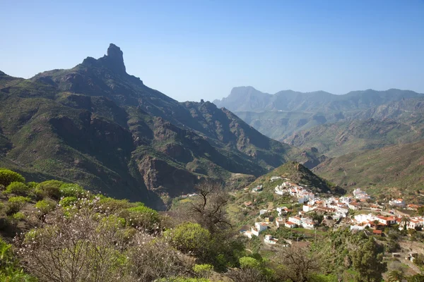Gran Canaria, Caldera de Tejeda w styczniu — Zdjęcie stockowe